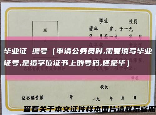 畢業證 編號（申請公務員時,需要填寫畢業證號,是指學位證書上的號碼,還是畢）縮略圖