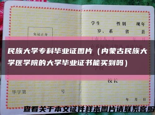 民族大學?？飘厴I證圖片（內蒙古民族大學醫學院的大學畢業證書能買到嗎）縮略圖