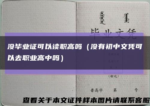 沒畢業證可以讀職高嗎（沒有初中文憑可以去職業高中嗎）縮略圖
