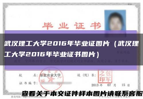 武漢理工大學2016年畢業證圖片（武漢理工大學2016年畢業證書圖片）縮略圖