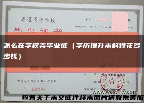 怎么在學校弄畢業證（學歷提升本科得花多少錢）縮略圖