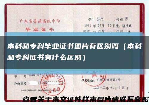 本科和?？飘厴I證書圖片有區別嗎（本科和?？谱C書有什么區別）縮略圖