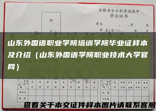 山東外國語職業學院培訓學院畢業證樣本及介紹（山東外國語學院職業技術大學官網）縮略圖