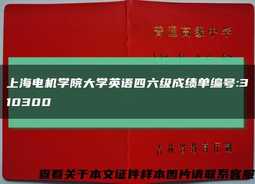 上海電機學院大學英語四六級成績單編號:310300縮略圖