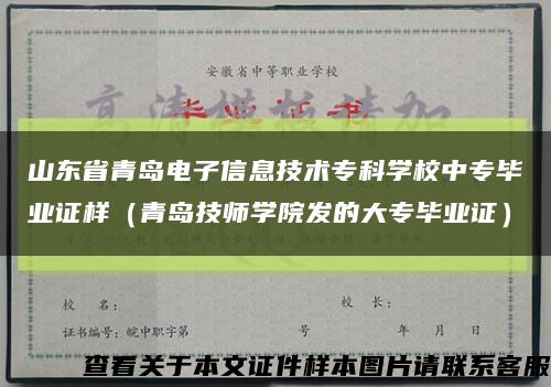 山東省青島電子信息技術?？茖W校中專畢業證樣（青島技師學院發的大專畢業證）縮略圖