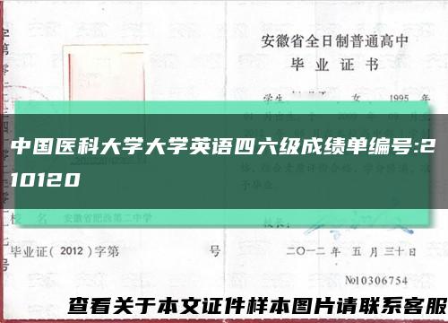 中國醫科大學大學英語四六級成績單編號:210120縮略圖
