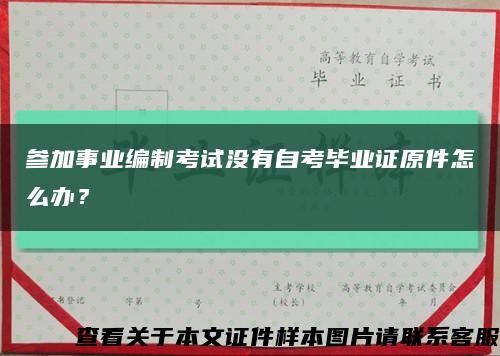 參加事業編制考試沒有自考畢業證原件怎么辦？縮略圖