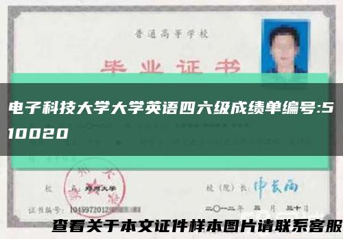 電子科技大學大學英語四六級成績單編號:510020縮略圖