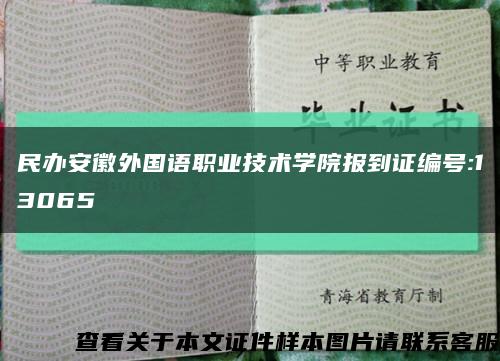 民辦安徽外國語職業技術學院報到證編號:13065縮略圖