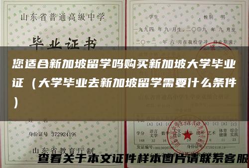 您適合新加坡留學嗎購買新加坡大學畢業證（大學畢業去新加坡留學需要什么條件）縮略圖