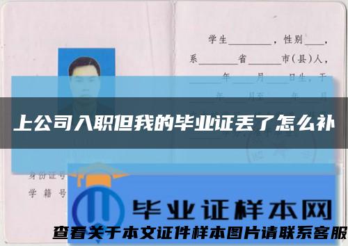 上公司入職但我的畢業證丟了怎么補縮略圖