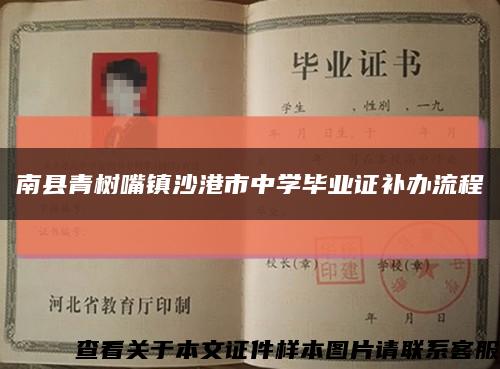 南縣青樹嘴鎮沙港市中學畢業證補辦流程縮略圖