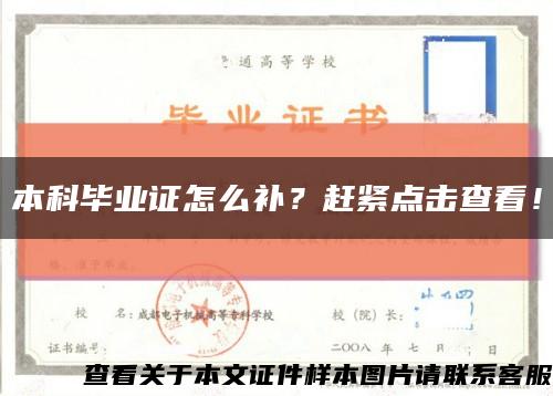 本科畢業證怎么補？趕緊點擊查看！縮略圖