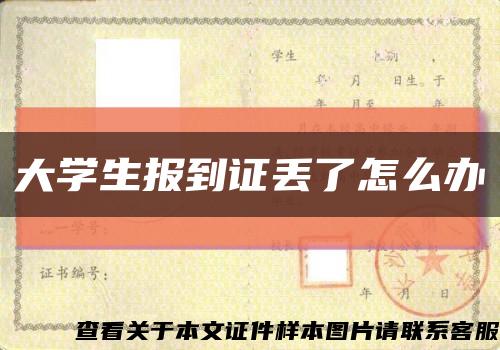 大學生報到證丟了怎么辦縮略圖