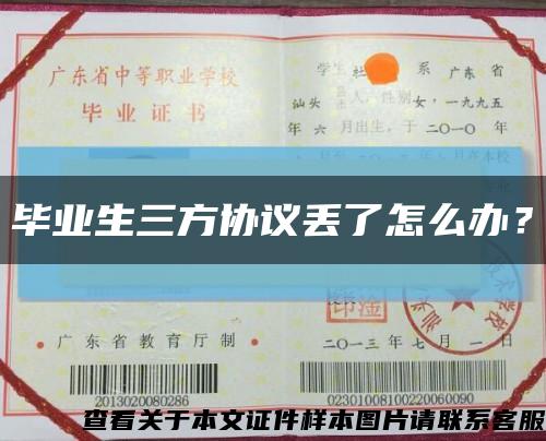 畢業生三方協議丟了怎么辦？縮略圖