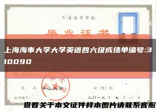 上海海事大學大學英語四六級成績單編號:310090縮略圖