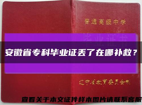 安徽省?？飘厴I證丟了在哪補救？縮略圖