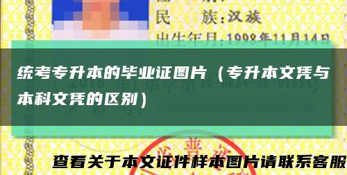 統考專升本的畢業證圖片（專升本文憑與本科文憑的區別）縮略圖