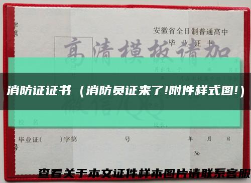 消防證證書（消防員證來了!附件樣式圖!）縮略圖