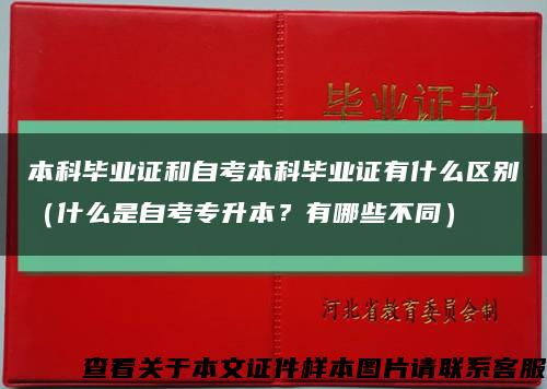本科畢業證和自考本科畢業證有什么區別（什么是自考專升本？有哪些不同）縮略圖
