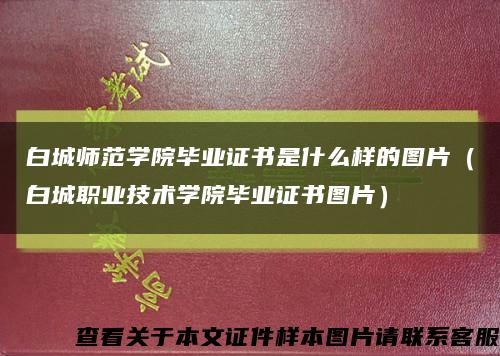 白城師范學院畢業證書是什么樣的圖片（白城職業技術學院畢業證書圖片）縮略圖