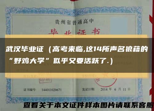 武漢畢業證（高考來臨,這14所聲名狼藉的“野雞大學”似乎又要活躍了.）縮略圖