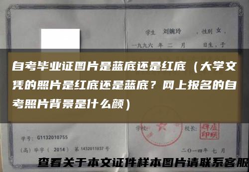 自考畢業證圖片是藍底還是紅底（大學文憑的照片是紅底還是藍底？網上報名的自考照片背景是什么顏）縮略圖