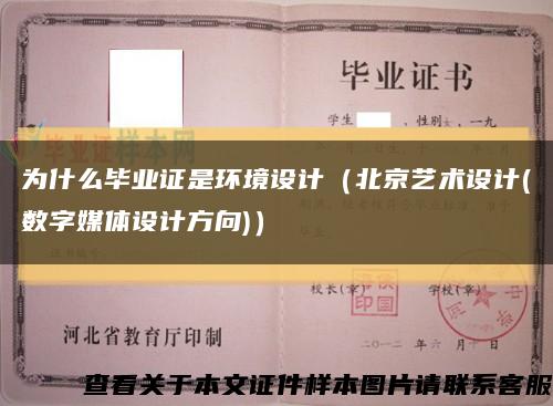 為什么畢業證是環境設計（北京藝術設計(數字媒體設計方向)）縮略圖