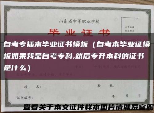 自考專插本畢業證書模板（自考本畢業證模板如果我是自考?？?然后專升本科的證書是什么）縮略圖