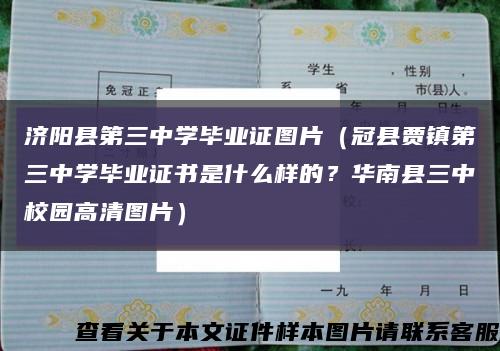 濟陽縣第三中學畢業證圖片（冠縣賈鎮第三中學畢業證書是什么樣的？華南縣三中校園高清圖片）縮略圖