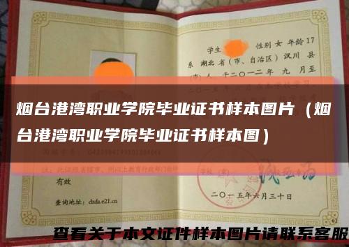 煙臺港灣職業學院畢業證書樣本圖片（煙臺港灣職業學院畢業證書樣本圖）縮略圖