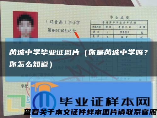 芮城中學畢業證圖片（你是芮城中學嗎？你怎么知道）縮略圖
