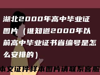 湖北2000年高中畢業證圖片（誰知道2000年以前高中畢業證書省編號是怎么安排的）縮略圖