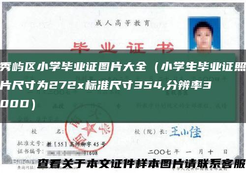 秀嶼區小學畢業證圖片大全（小學生畢業證照片尺寸為272x標準尺寸354,分辨率300D）縮略圖