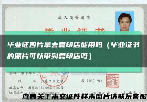 畢業證圖片拿去復印店能用嗎（畢業證書的照片可以帶到復印店嗎）縮略圖