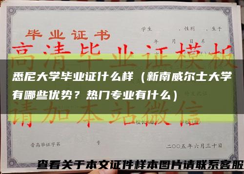 悉尼大學畢業證什么樣（新南威爾士大學有哪些優勢？熱門專業有什么）縮略圖