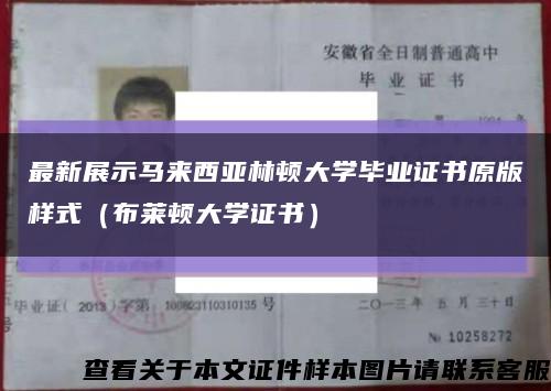 最新展示馬來西亞林頓大學畢業證書原版樣式（布萊頓大學證書）縮略圖