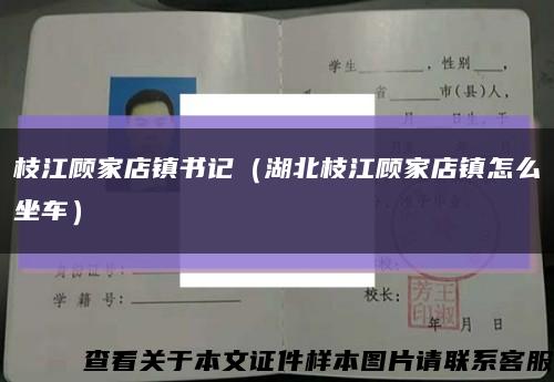 枝江顧家店鎮書記（湖北枝江顧家店鎮怎么坐車）縮略圖