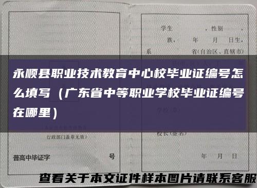 永順縣職業技術教育中心校畢業證編號怎么填寫（廣東省中等職業學校畢業證編號在哪里）縮略圖