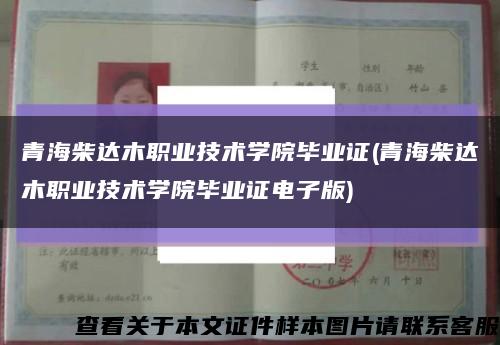 青海柴達木職業技術學院畢業證(青海柴達木職業技術學院畢業證電子版)縮略圖