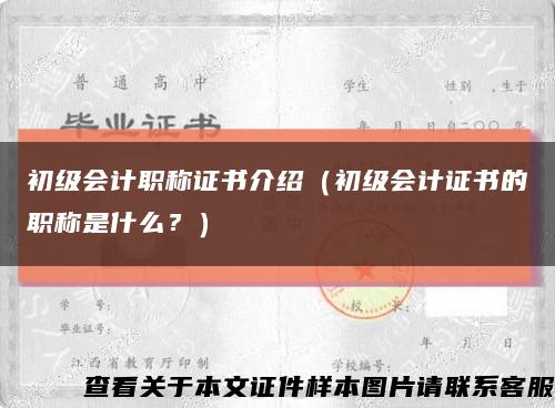 初級會計職稱證書介紹（初級會計證書的職稱是什么？）縮略圖