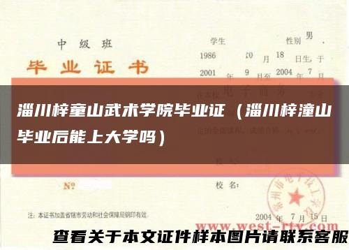 淄川梓童山武術學院畢業證（淄川梓潼山畢業后能上大學嗎）縮略圖