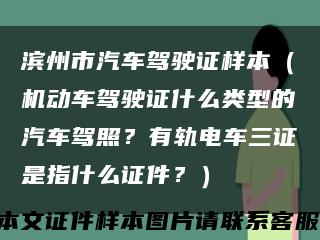 濱州市汽車駕駛證樣本（機動車駕駛證什么類型的汽車駕照？有軌電車三證是指什么證件？）縮略圖
