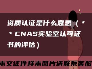 資質認證是什么意思（＊＊CNAS實驗室認可證書的評估）縮略圖