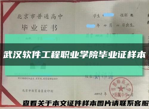 武漢軟件工程職業學院畢業證樣本縮略圖