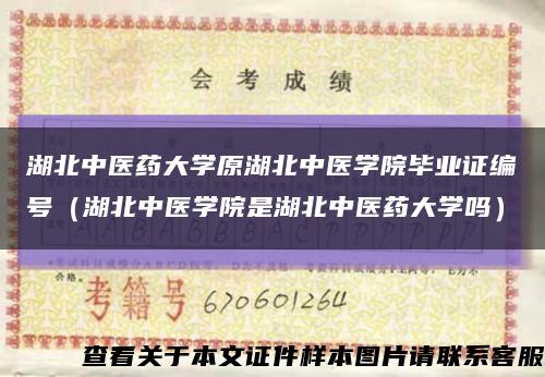 湖北中醫藥大學原湖北中醫學院畢業證編號（湖北中醫學院是湖北中醫藥大學嗎）縮略圖
