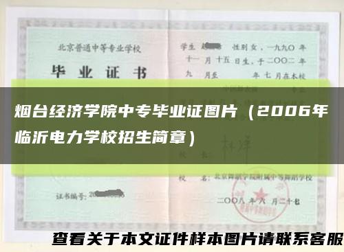 煙臺經濟學院中專畢業證圖片（2006年臨沂電力學校招生簡章）縮略圖
