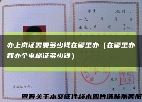 辦上崗證需要多少錢在哪里辦（在哪里辦和辦個電梯證多少錢）縮略圖