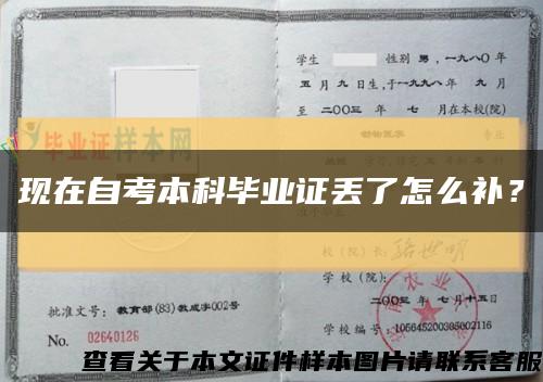 現在自考本科畢業證丟了怎么補？縮略圖