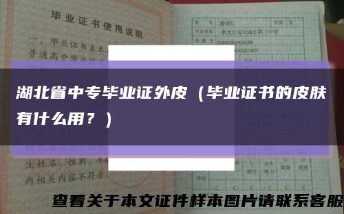 湖北省中專畢業證外皮（畢業證書的皮膚有什么用？）縮略圖